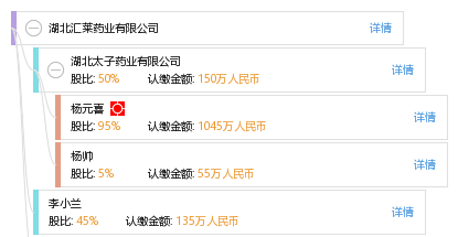 股权结构图谱—湖北汇莱药业有限公司—天眼查