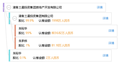 股权结构图谱—湖南三星投资集团房地产开发有限公司—天眼查