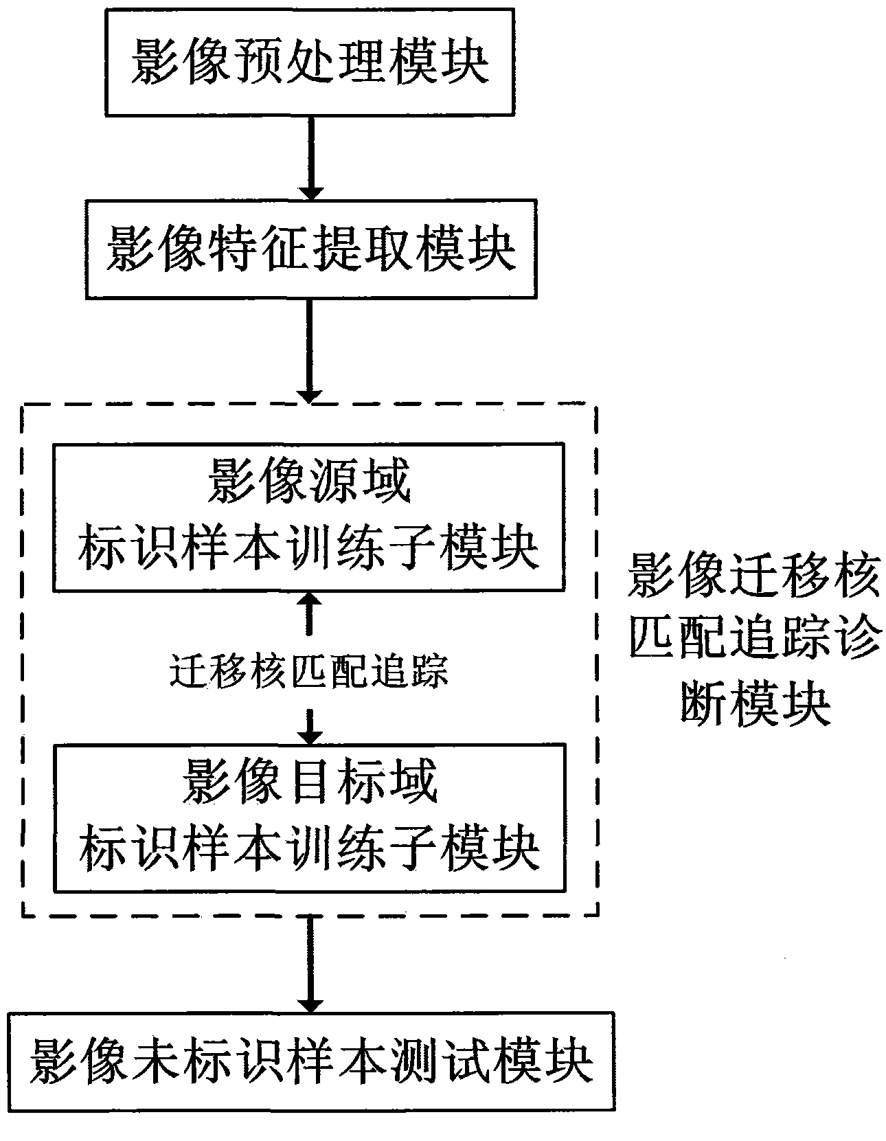 整个系统包括:影像预处理模块,影像特征提取模块,影像迁移核匹配追踪