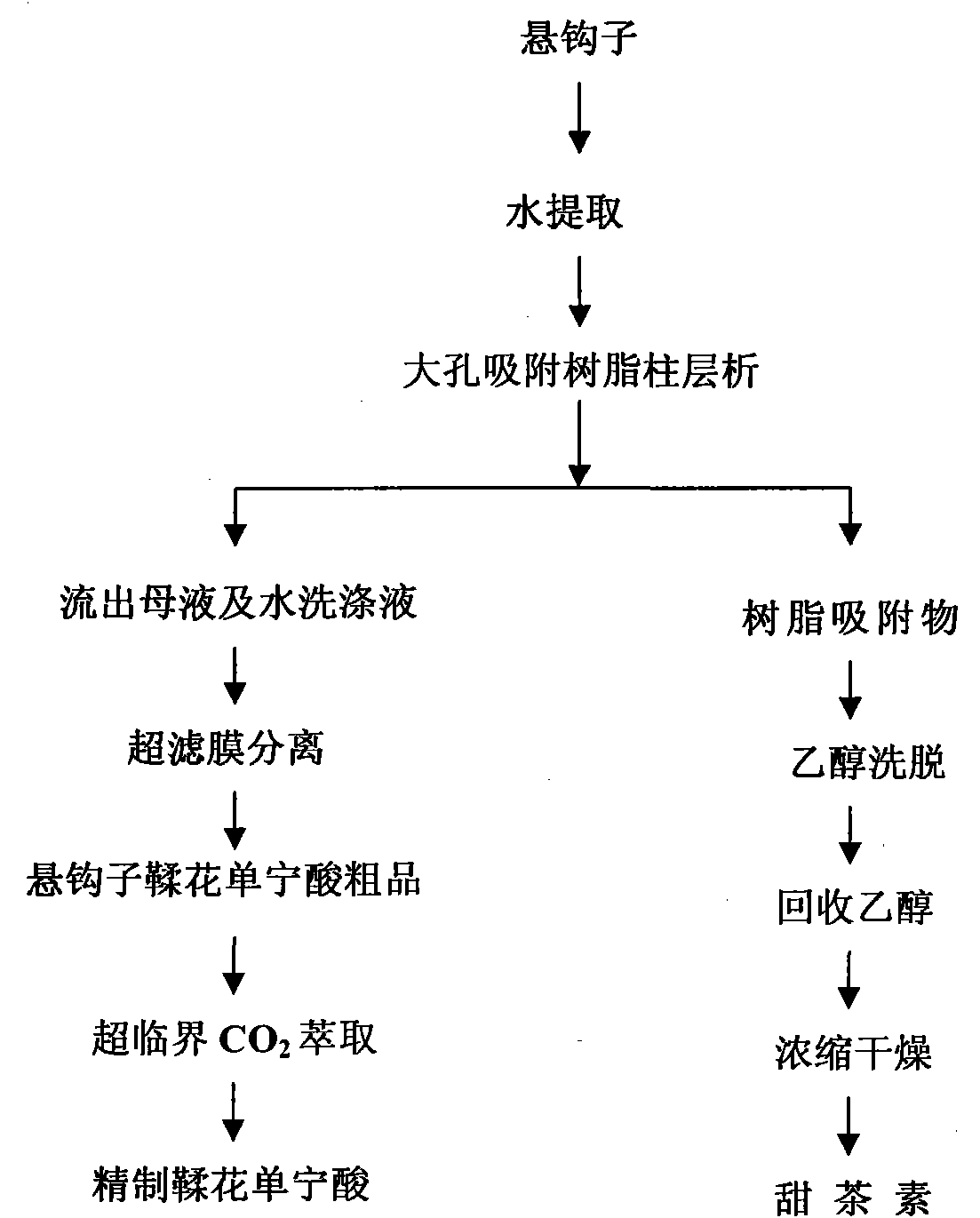 是采用水提法获得悬钩子提取物,通过大孔吸附树脂分离技术,超滤膜分离