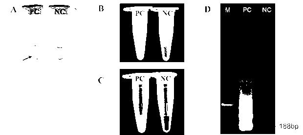 cn102719535a_快速检测食品中单核增生李斯特菌的方法失效