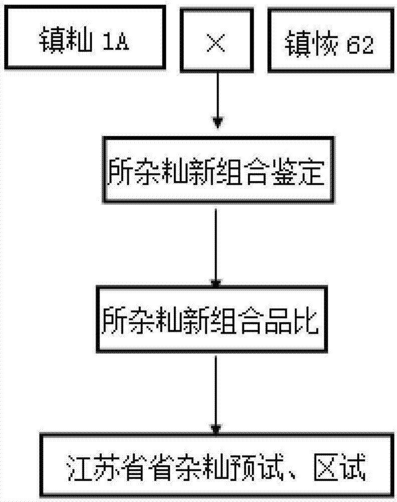 一种优质,多抗,高产三系杂交水稻镇籼优62的育种和制种方法