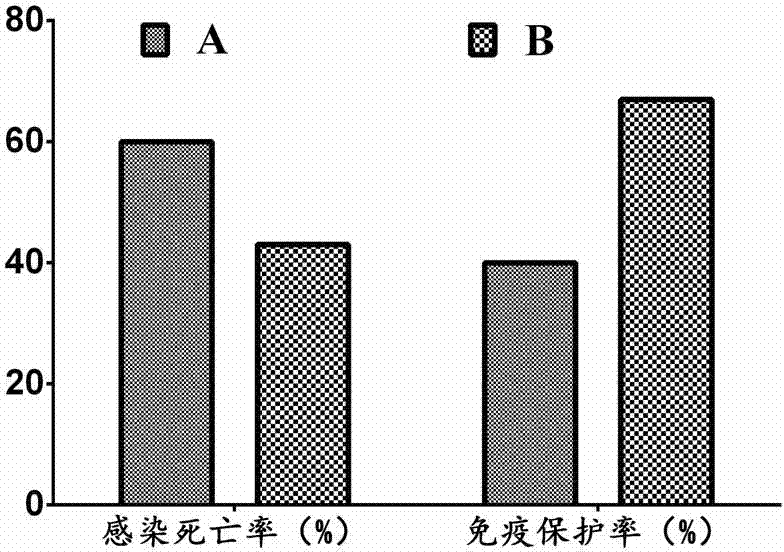 cn103704533a_鱼饲料添加剂,使用方法,应用及含有该添加剂的饲料有效