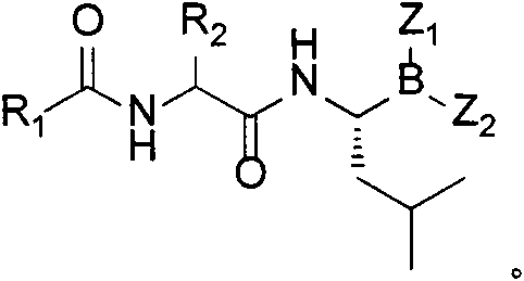 一类羧酸与α氨基酸组成的二肽硼酸及其