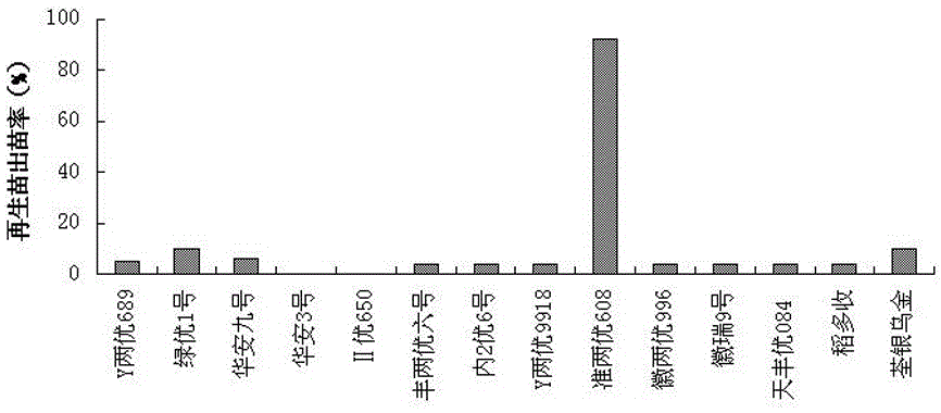 cn105815166a_一种华东地区利用杂交水稻再生营养体生