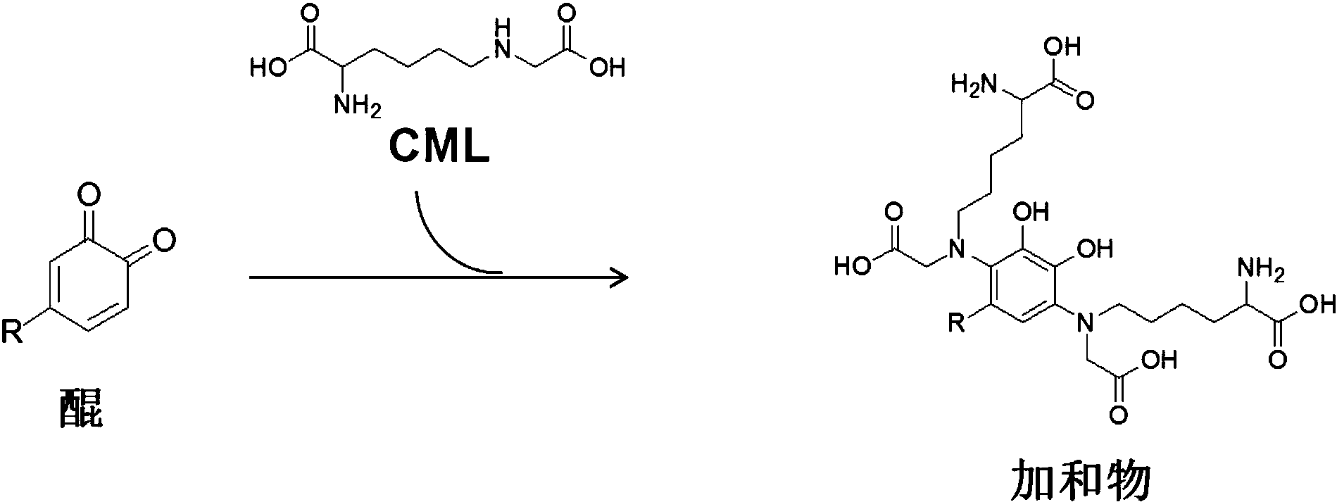 cn105918772a_一类羧甲基赖氨酸消除剂及其应用有效