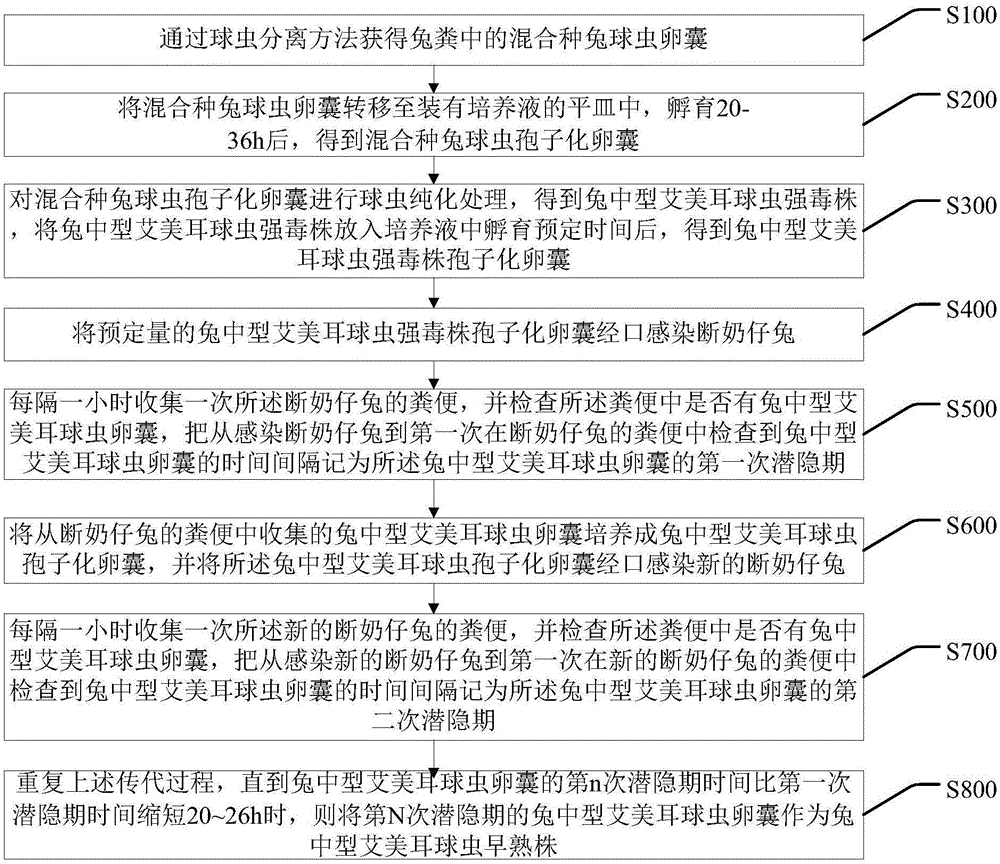 一种兔中型艾美耳球虫早熟株及其制备方法应用