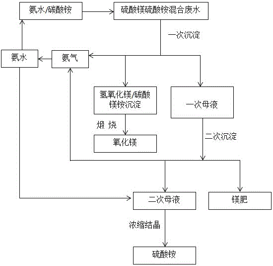 一种硫酸镁硫酸铵混合废水资源化处理工艺及系统