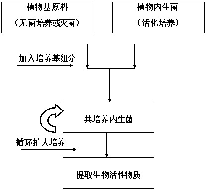 cn106916853a_利用植物基原料和内生菌共培养制备生物活性物质的方法