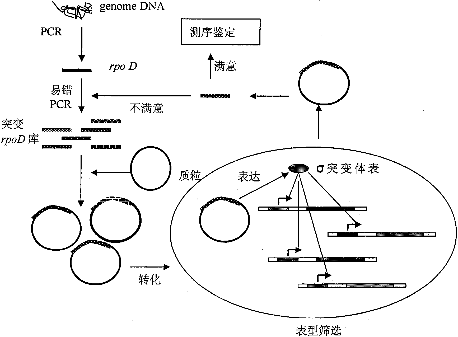 cn106978380a_一株高木糖耐性肺炎克雷伯氏菌株及其构建方法在审