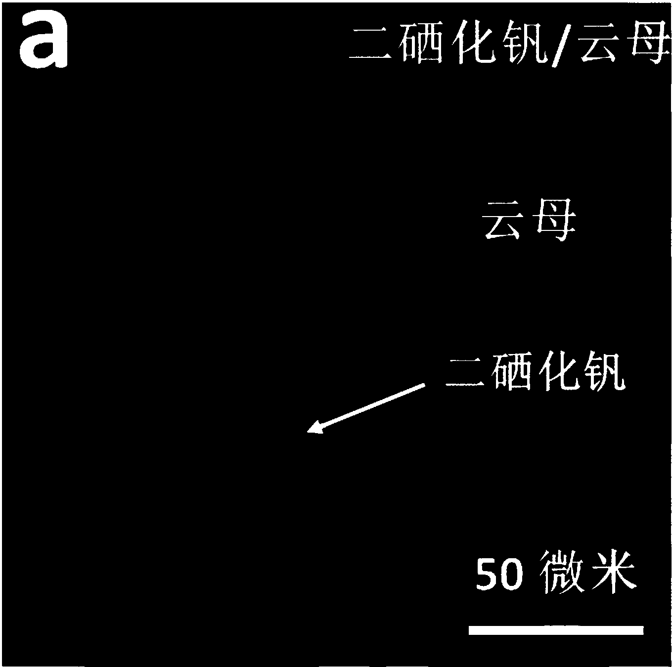 方法,包括:1)在相对于基底的气流上游依次放置三氯化钒粉末和硫属单质