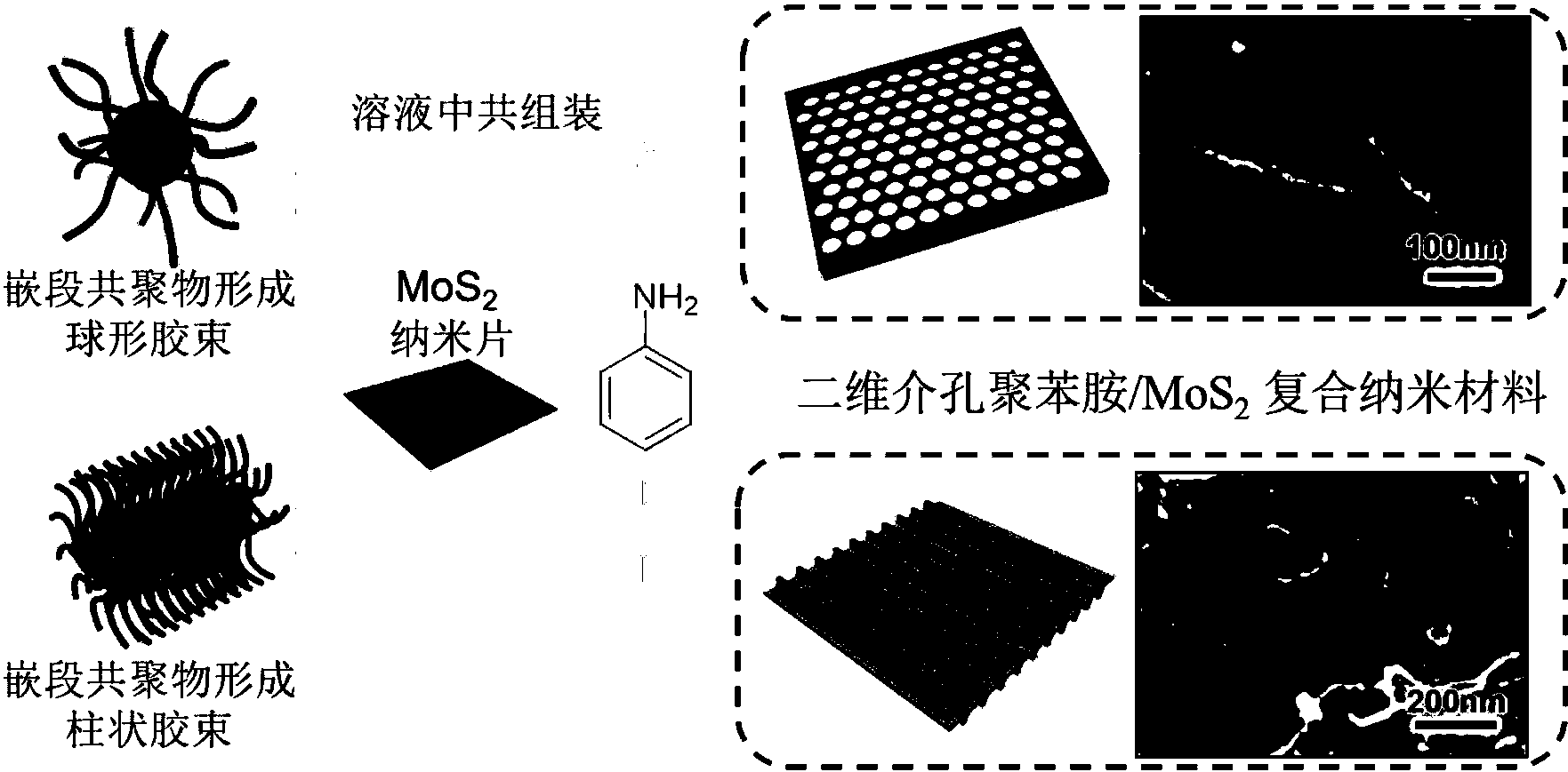 二维介孔聚苯胺mos2复合纳米材料的制备方法和应用