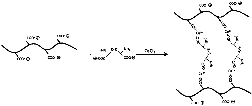 cn108221086a_一种天然氨基酸交联的海藻酸钙纤维在审