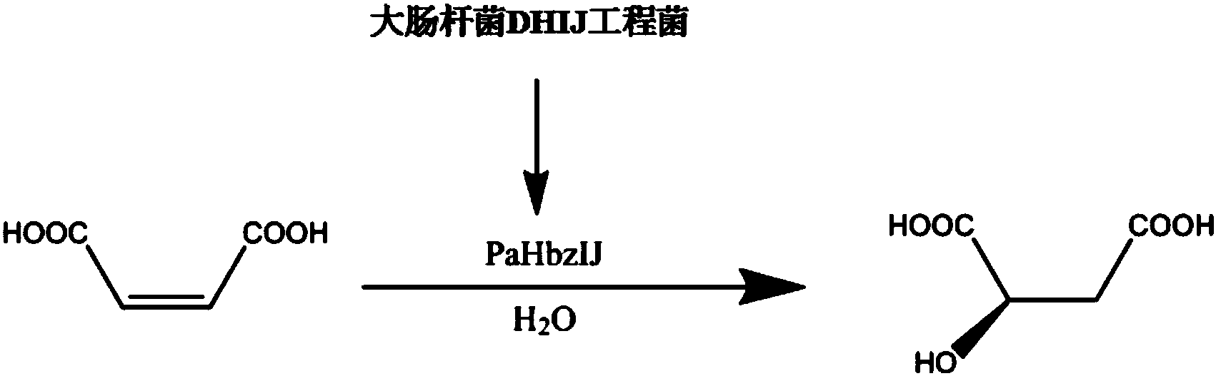 cn109402184a_一种生物酶法合成d-苹果酸的方法在审