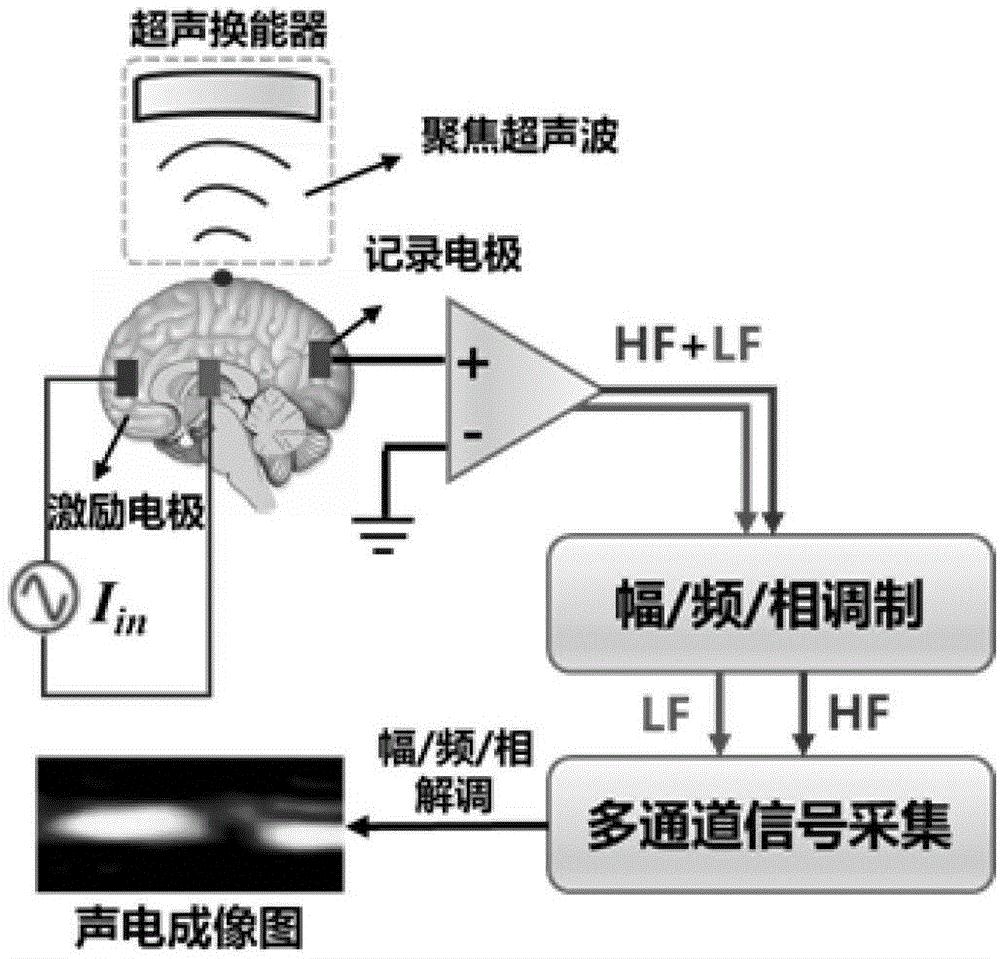 cn109645999a_一种基于声电效应的4d经颅聚焦超声神经成像方法在审