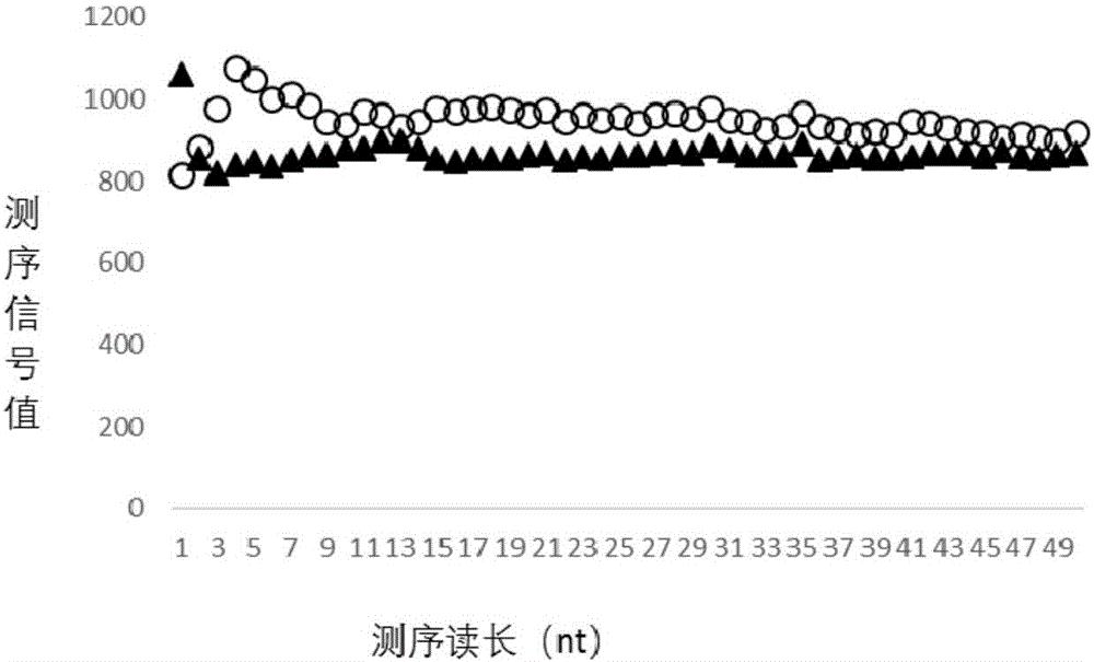 改善文库滚环复制效率均一性的方法 文库构建方法及试专利 专利查询 天眼查