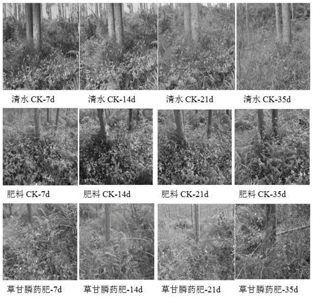 cn109734504a_一种基于茎杆喷施的桉树除草药肥及其应用在审