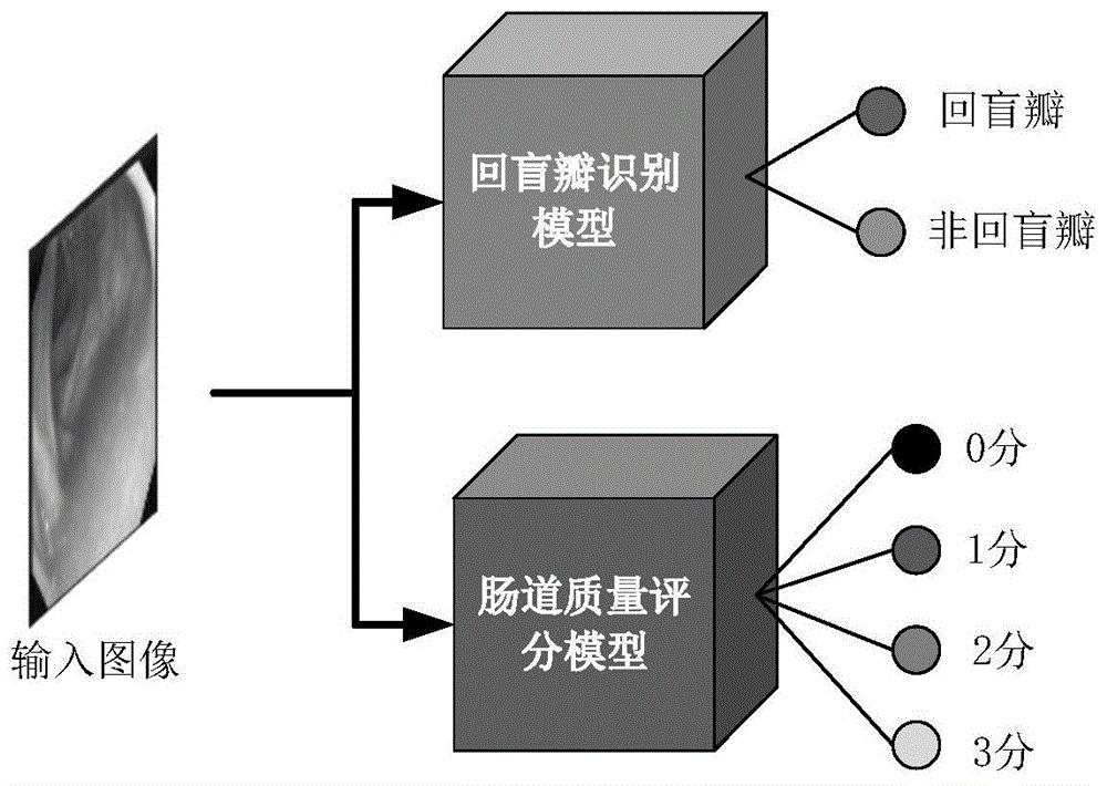 cn110020610a_基于深度学习的肠镜质量检查控制系统在审