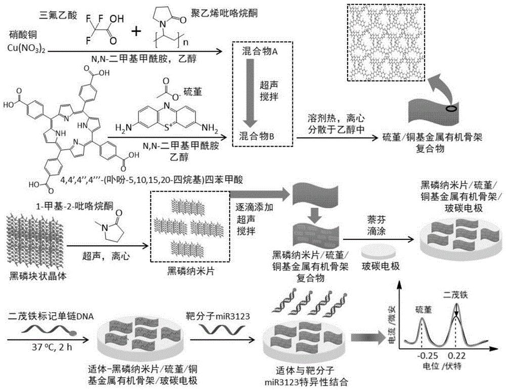 cn110455896a_金属有机骨架复合物比率电化学mir3123适体传感器的制备