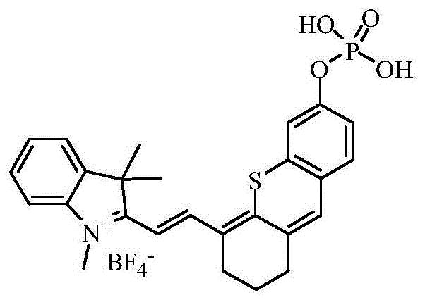 cn110511245a_一种基于硫代半菁染料的近红外荧光探针