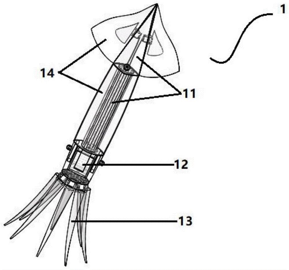 一种仿生线驱动腕乌贼