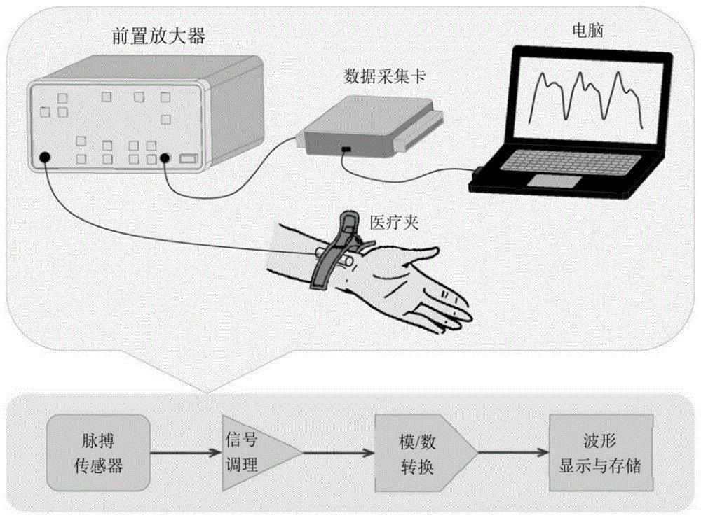 cn110742592a_一种基于柔性压电驻极体脉搏传感器的人体健康检测方法