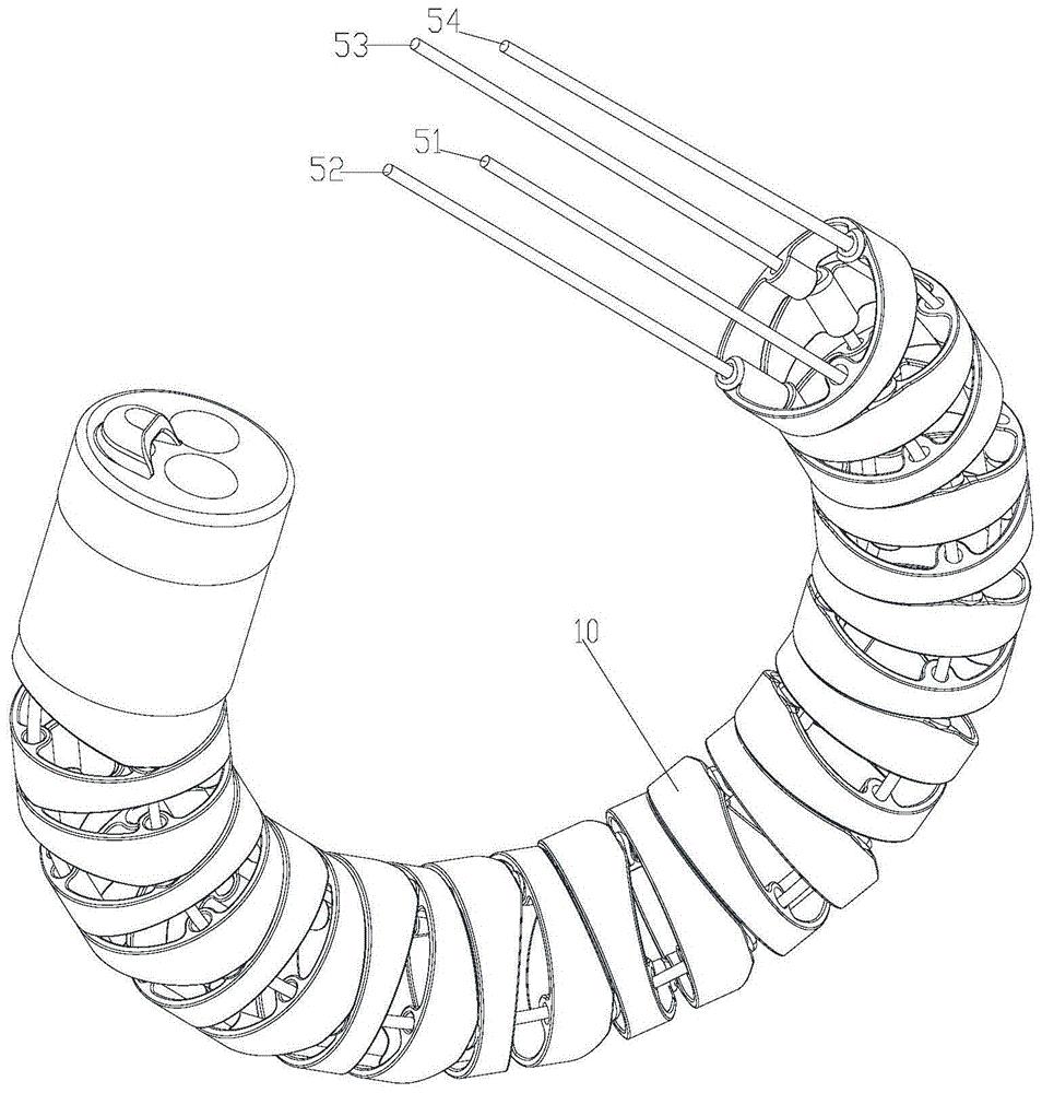 蛇骨结构的骨节,蛇骨结构及内窥镜