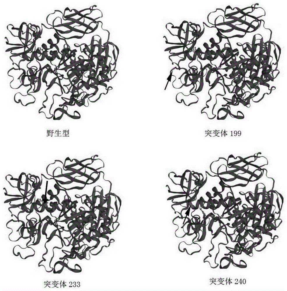 cn111394327a_用于提高化妆品成分aa-2g生产转化率的酶在审