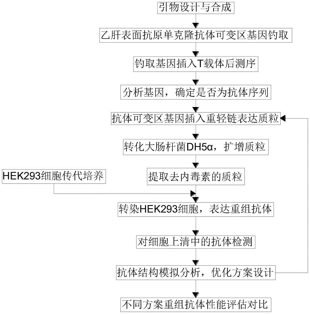 本发明涉及免疫学技术领域,具体公开了一种乙肝表面抗原单克隆抗体及