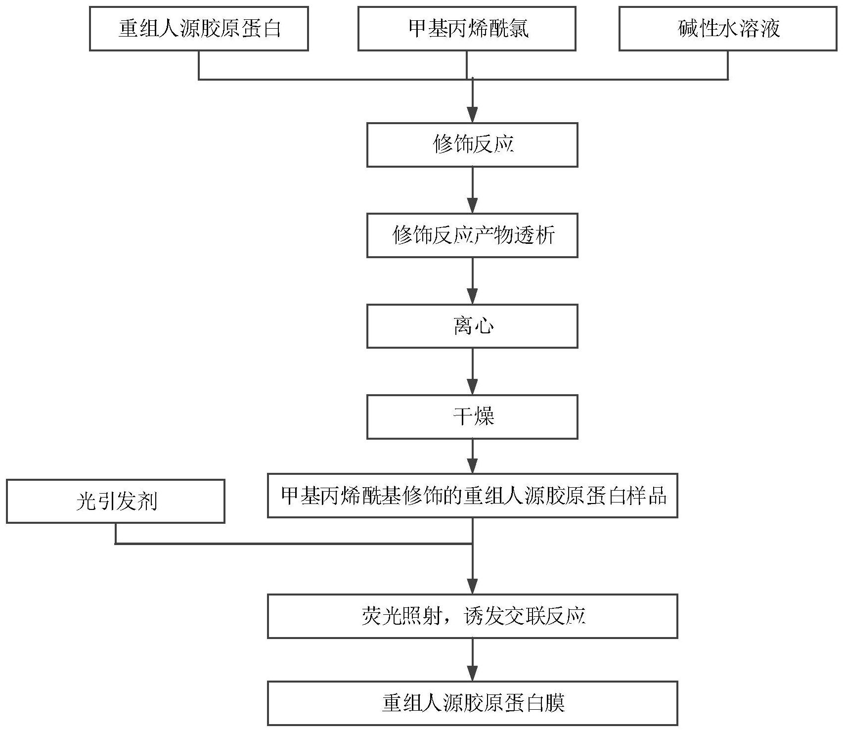 cn111714680a_重组人源胶原蛋白膜及其制备方法,应用