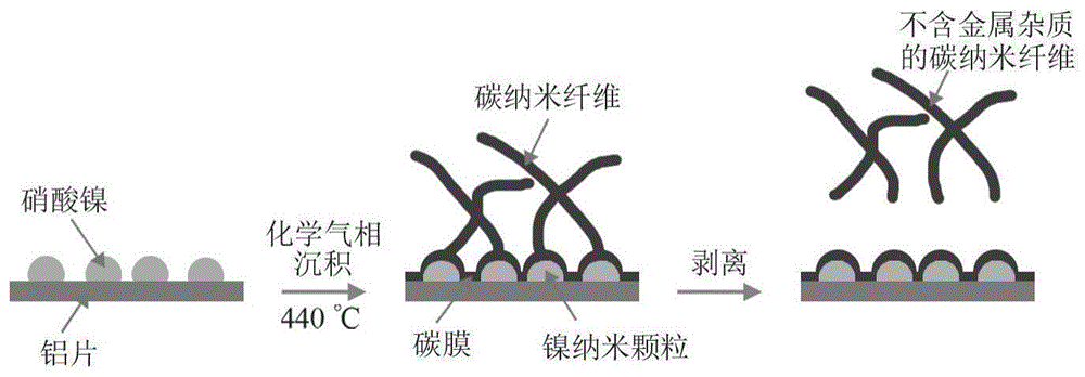 cn111943169a_剥离法制备不含金属的碳纳米纤维在审