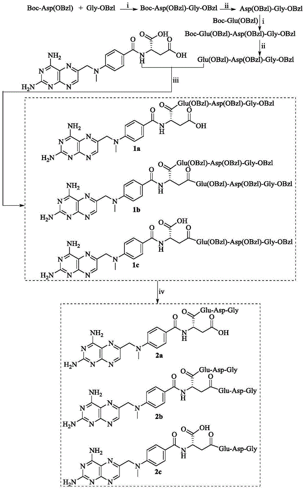 cn111995660a_glu-asp-gly修饰的甲氨蝶呤,其合成,抗肿瘤活性和应用在