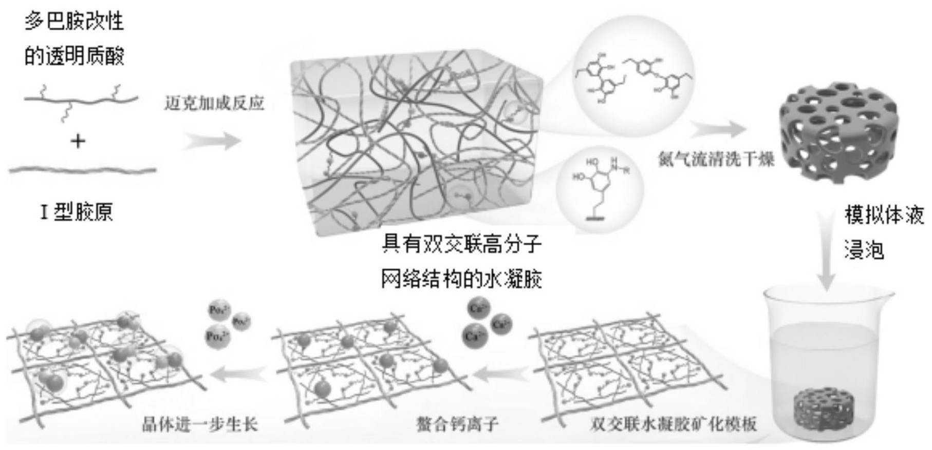 具有纳米微米复合结构和高矿物质密度的仿生矿化水凝胶及其制备方法与