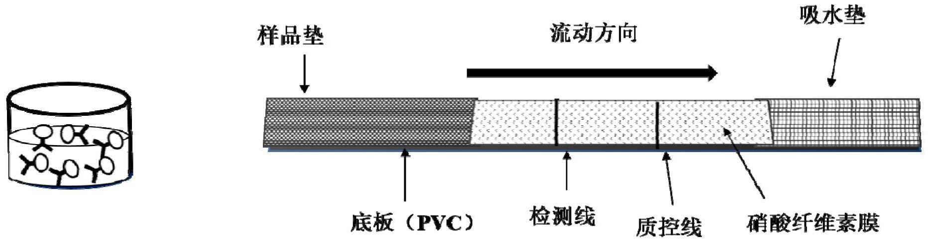 一种快速检测硫丹的胶体金免疫层析试纸条及其制备和检测方法