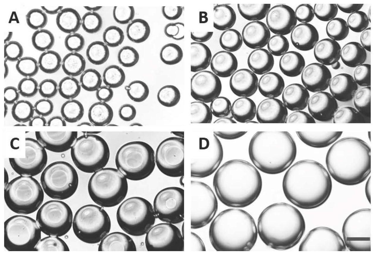 微流控冰晶法制备可注射多孔水凝胶微球的方法及其应用