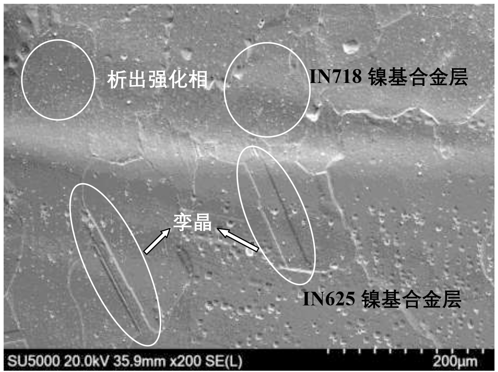 一种镍基合金复层材料的点阵结构及其制备方法