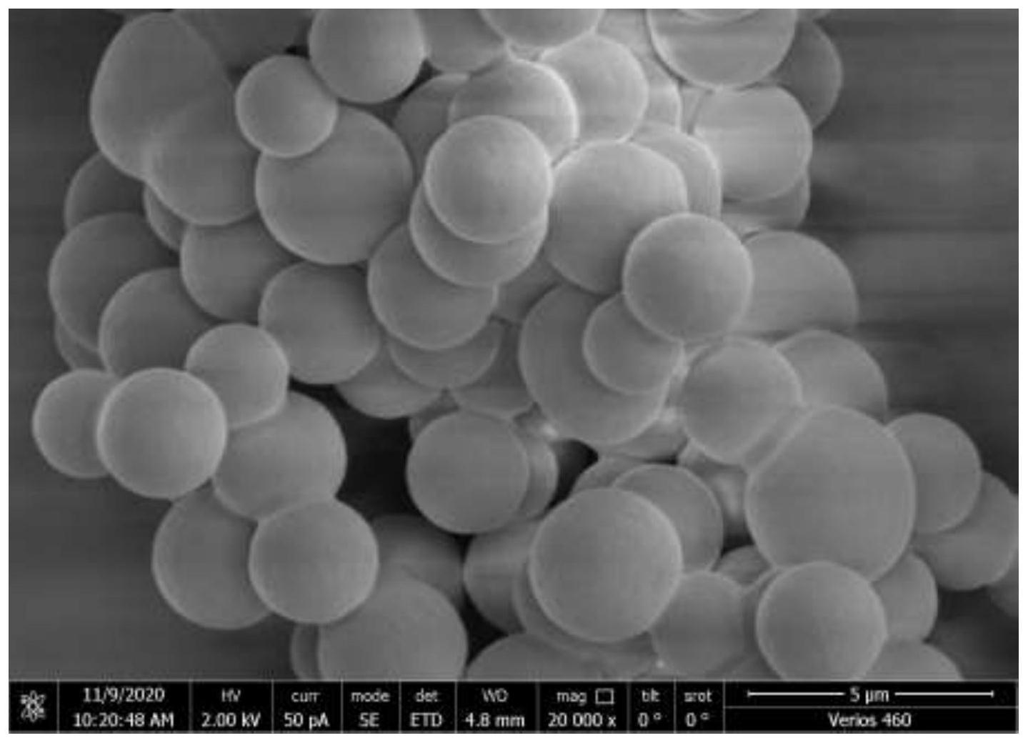 一种乙烯基胶原蛋白自组装微球的制备方法