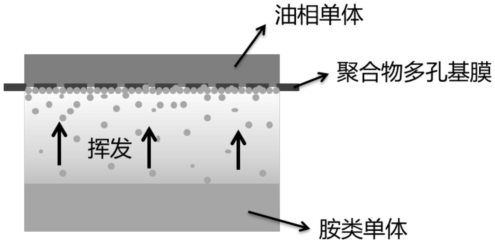 cn112870982a_一种新型界面聚合反应的薄层复合膜制备方法及其应用