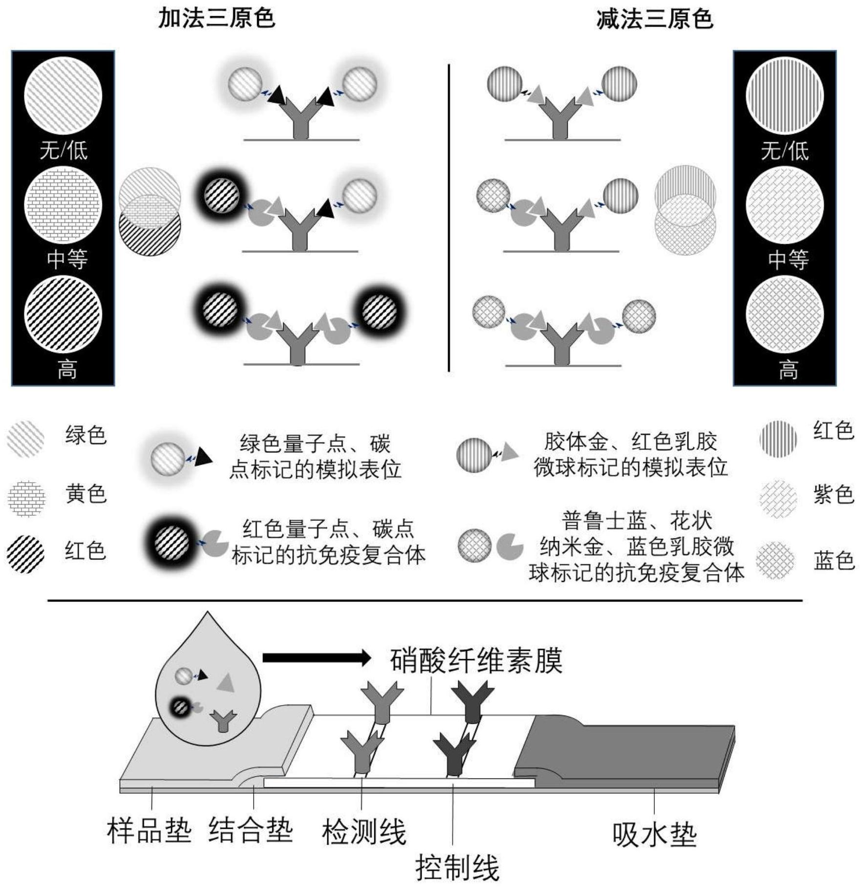 并集成在一张试纸条上,基于相加和相减三原色的原理实现随着分析物