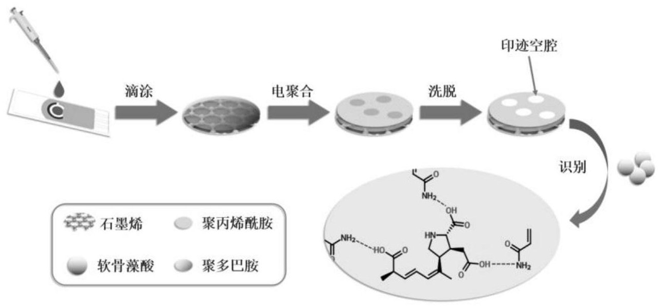 一种分子印迹聚合物电极制备方法及其在软骨藻酸电化学分析中的应用