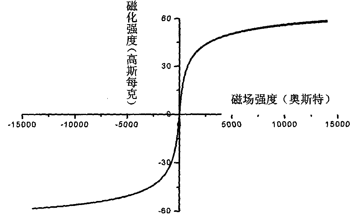 一种超顺磁四氧化三铁纳米粒子的制备方法