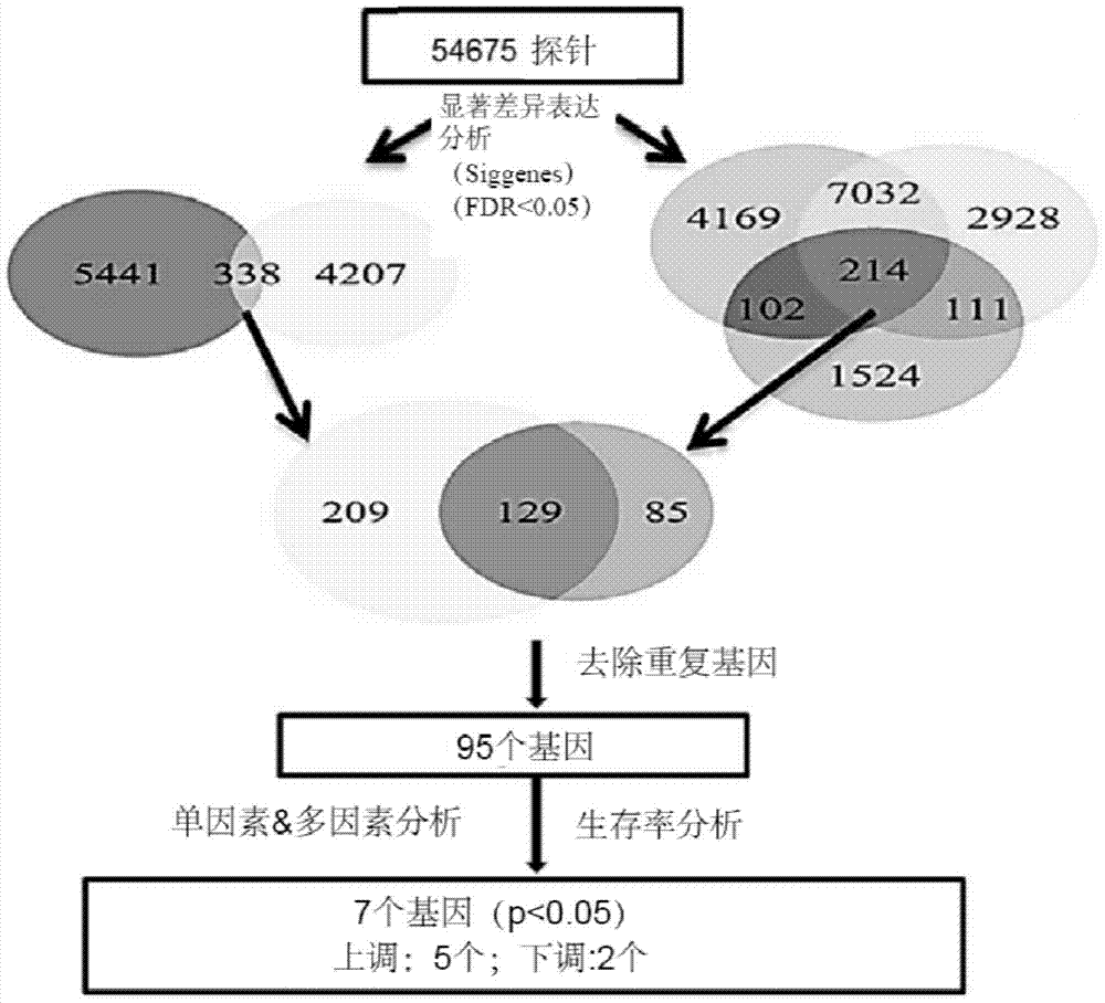 cn105368925b_用于肺癌预后的生物标志物及其用途有效