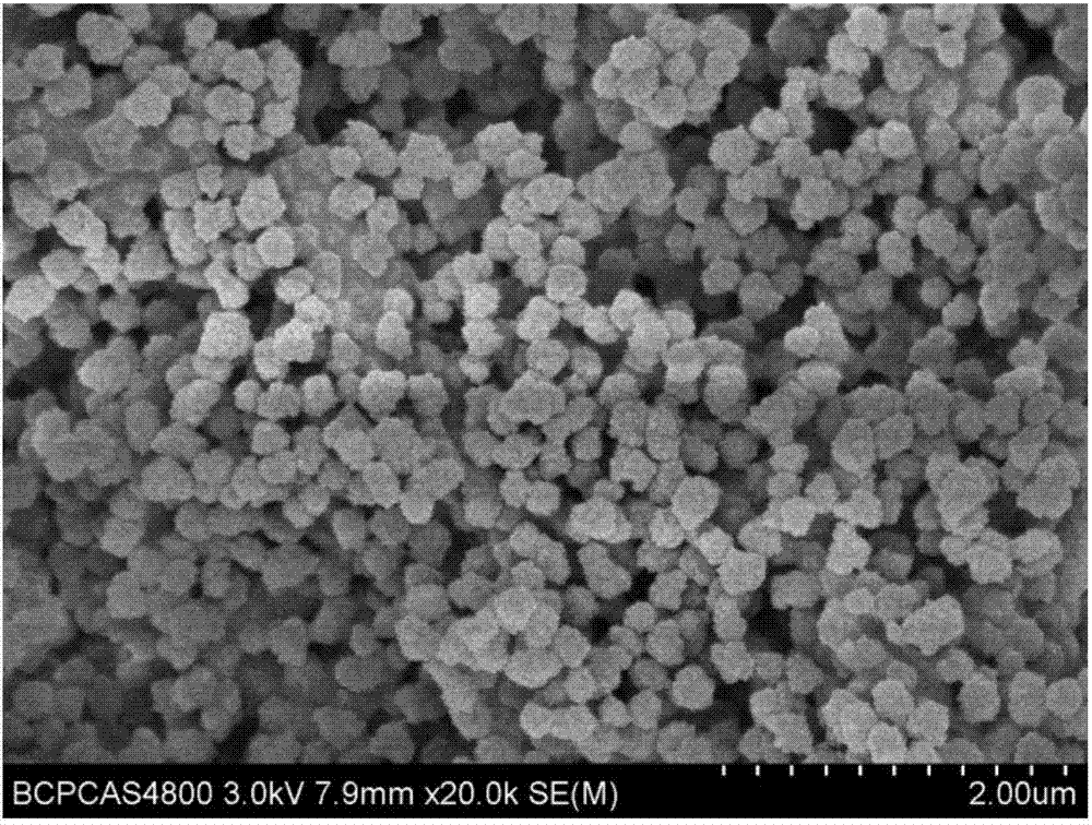 cn106279488b_砂生槐三种生物碱同时提取的分子印迹聚合物的制备及