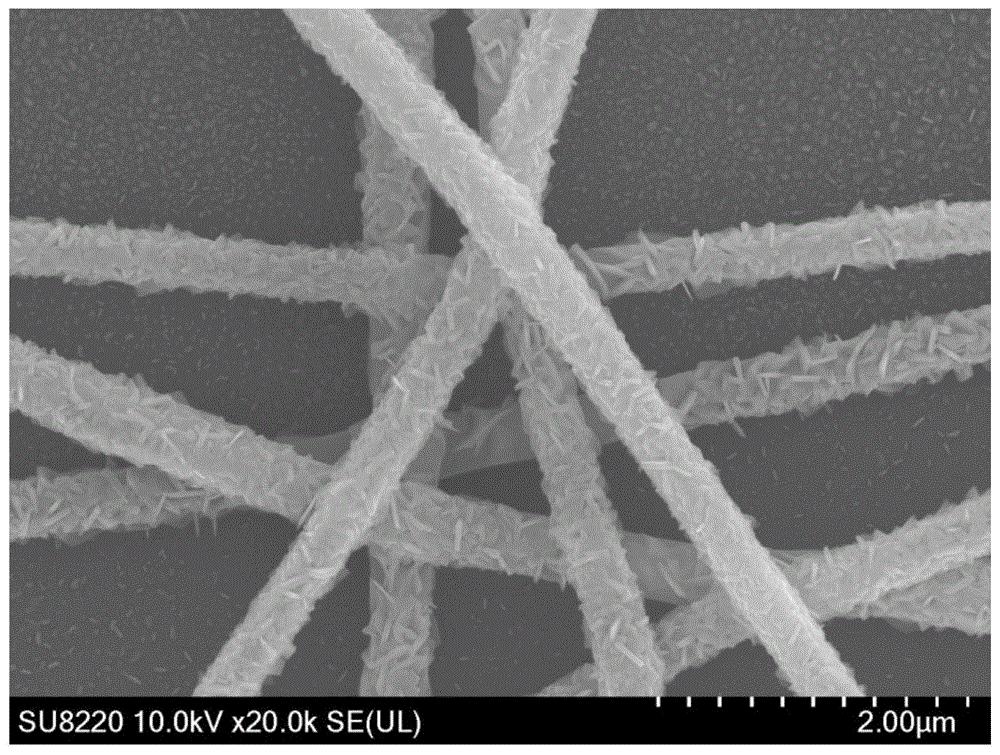 cn107058953b_一种基于高分子模板的三氧化钼纳米纤维制备方法有效