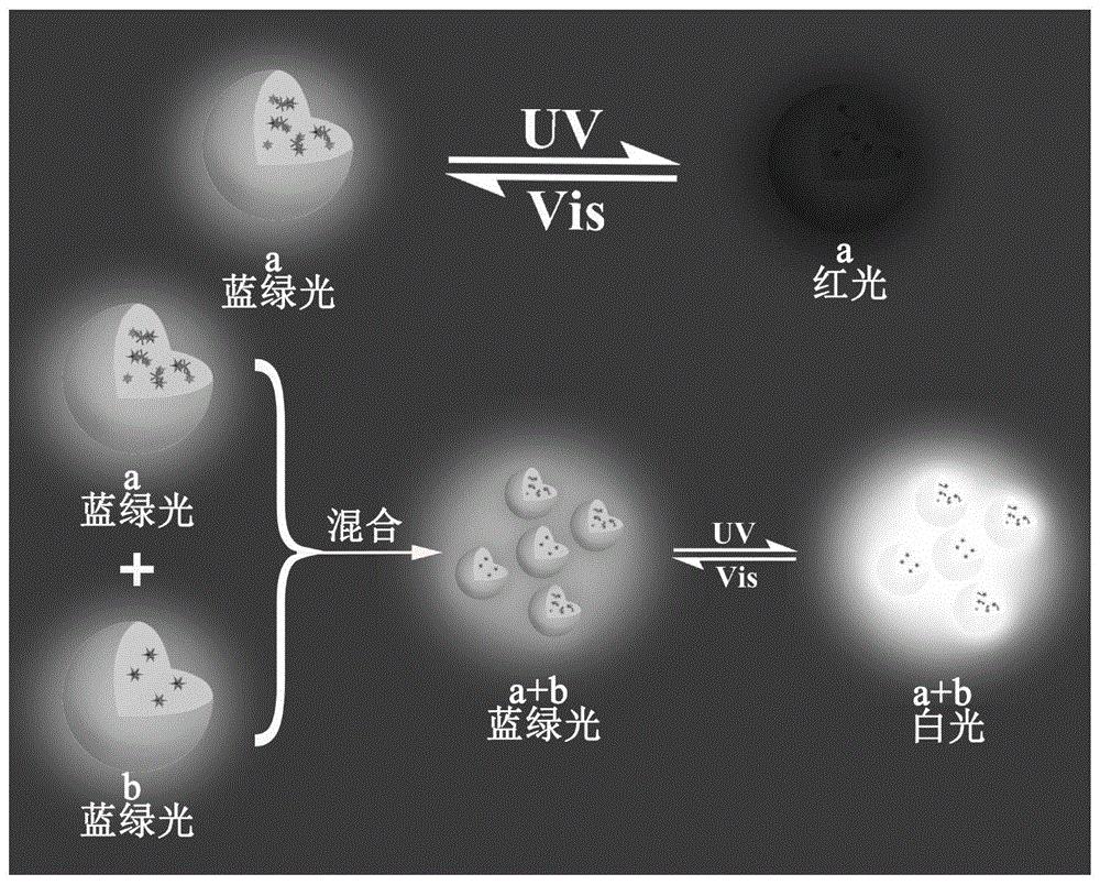 cn107880201b_一种可调至稳定白光的复合光开关纳米粒子的制备及应用
