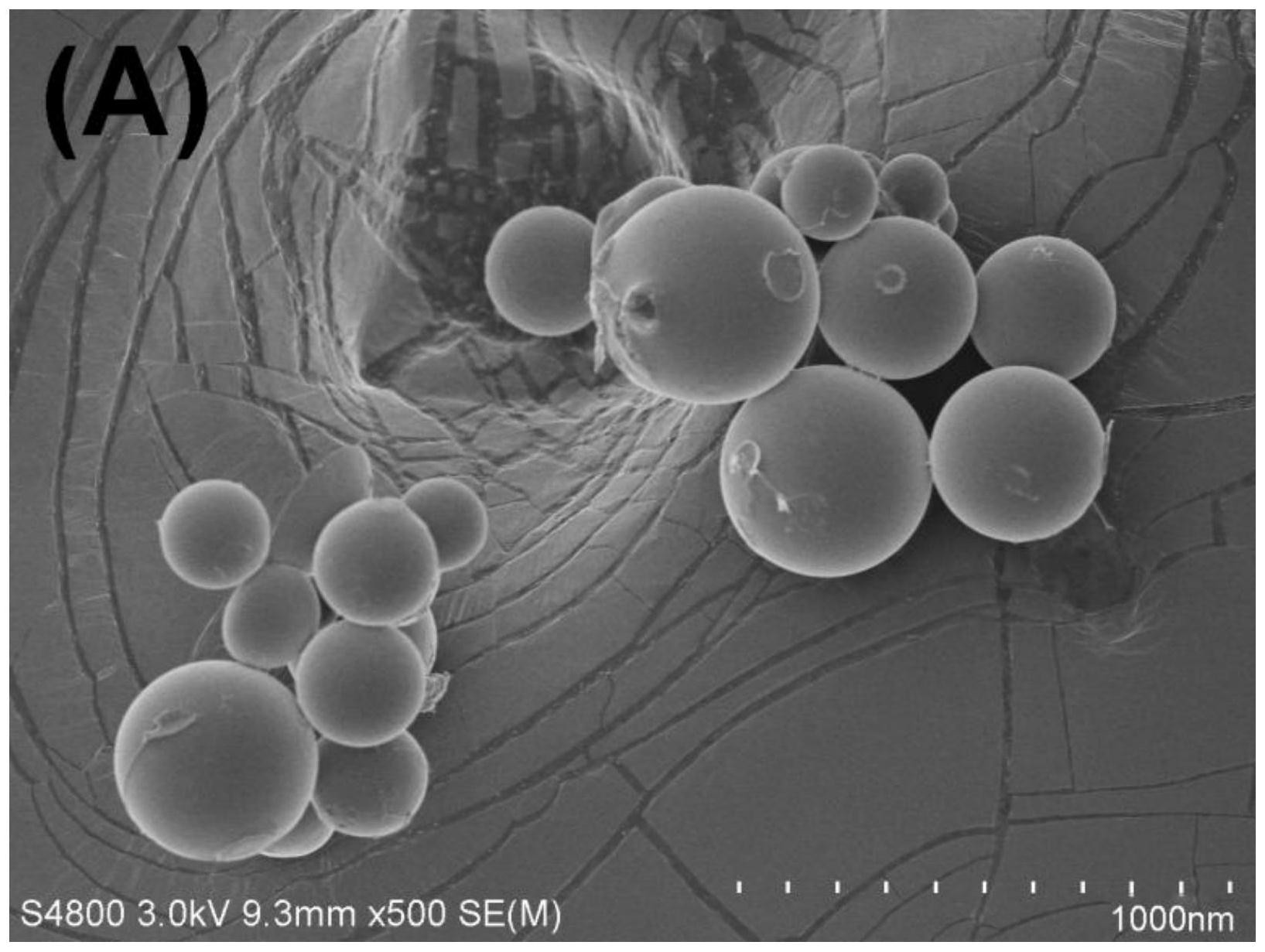 cn108739807b_植物油酸-壳聚糖基纳米微胶囊农药,其制备方法及其应用