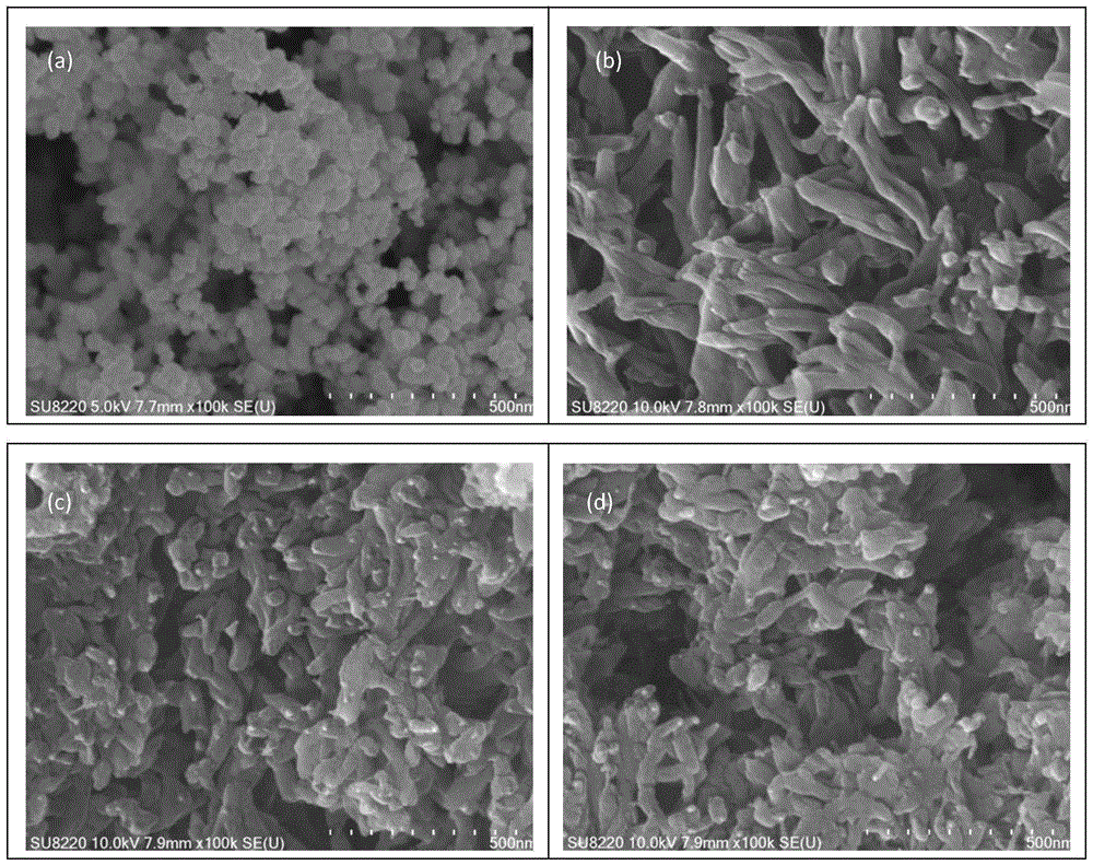 cn108977007b_一种氮化钛/聚苯胺复合导电防腐粉末涂料及其制备方法