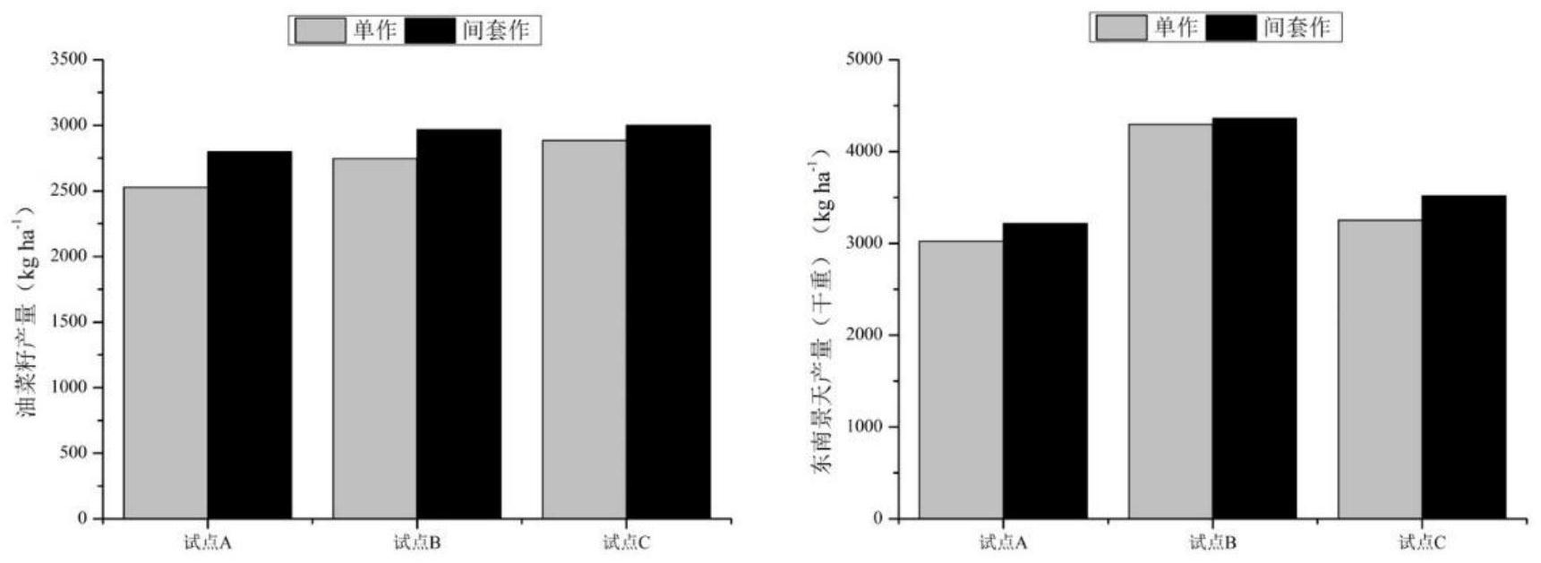 一种间套作强化提取修复镉中轻度污染农田的方法专利_专利查询 天眼