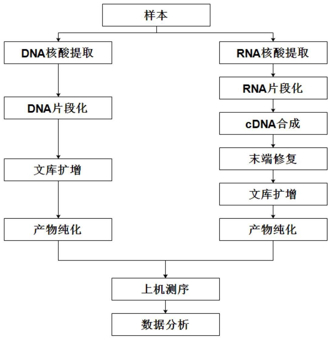 一种利用宏基因组或宏转录组检测微生物的分析方法