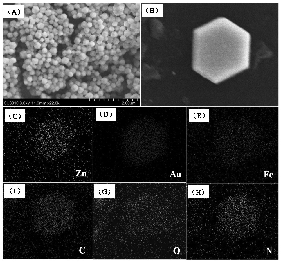 一种检测甲胎蛋白的zif8复合材料电化学免疫传感器及其制备方法和应用